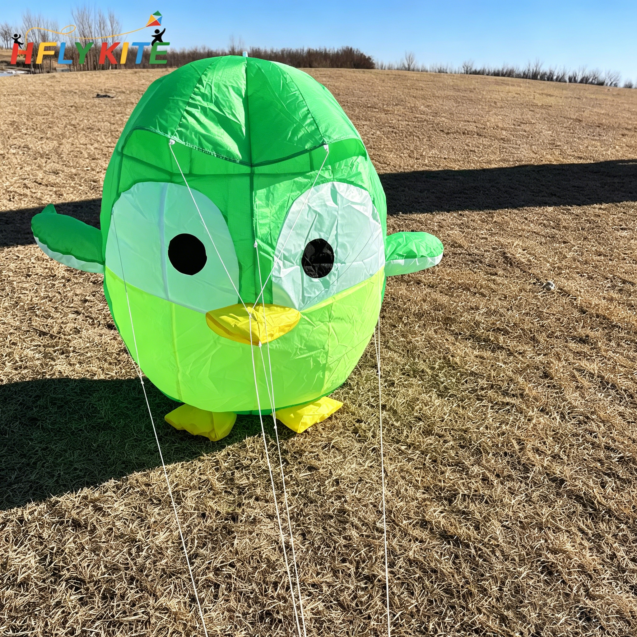 Penguin Kite Pendant, Soft Inf - Outdoor Power Line 리뷰 및 가격