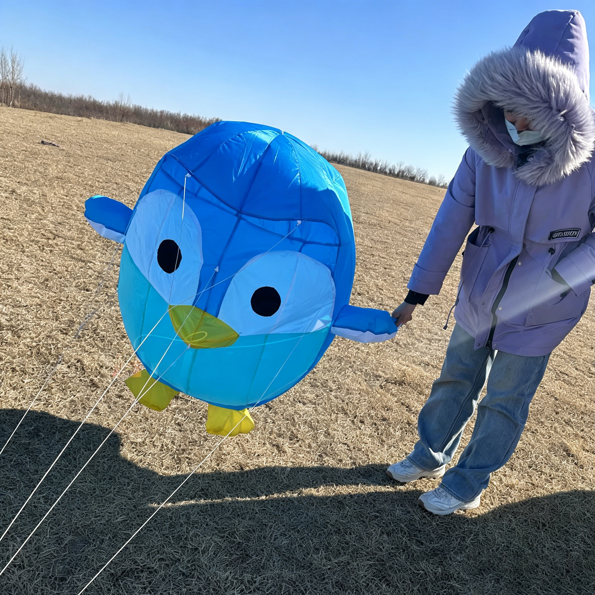 Penguin Kite Pendant, Soft Inf - Outdoor Power Line 리뷰 및 가격